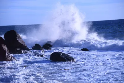 DSC_0599 (Large).JPG